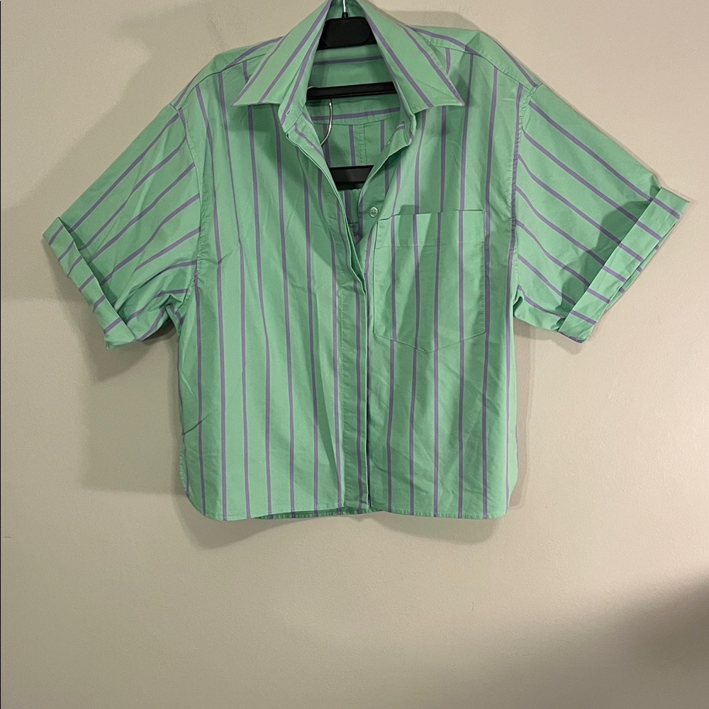 Zara Mint and Lavender Striped Shirt and shorts Top Pieces
